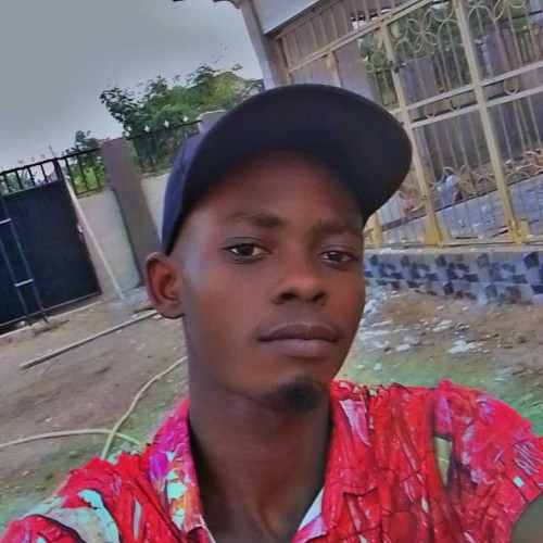 peter i. profile photo