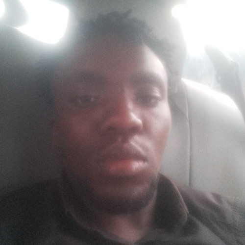 brian N. profile photo