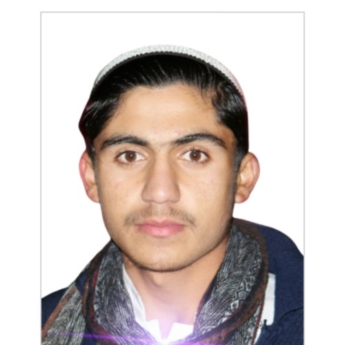 Zaib K.