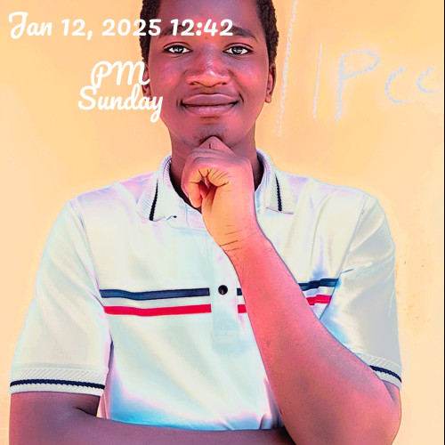 Tochukwu N. profile photo