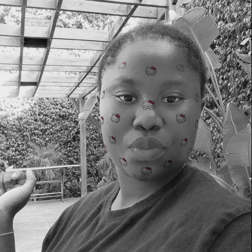 Bamidele O. profile photo