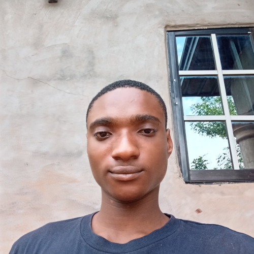 Nwakwusi  I. profile photo