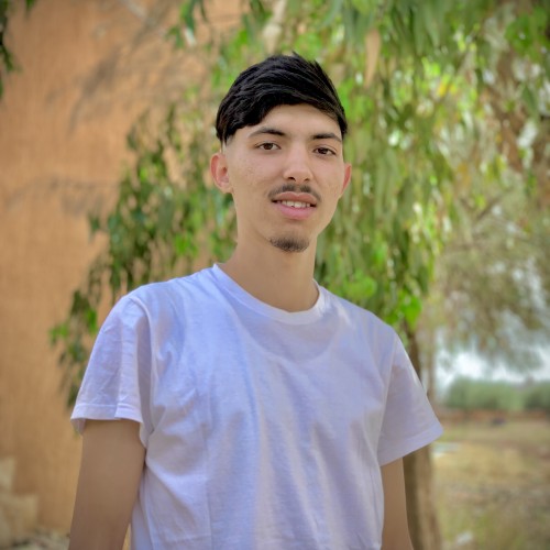 mohsine m. profile photo