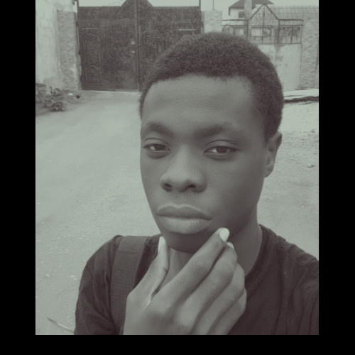 Oluwafemi  P. profile photo