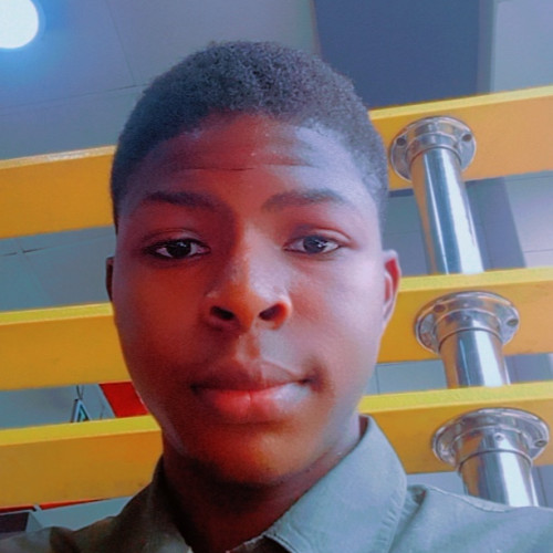 Oluwapelumi O. profile photo