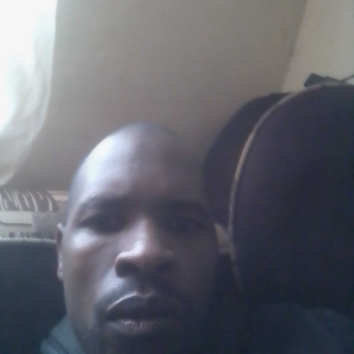 Martin t. profile photo