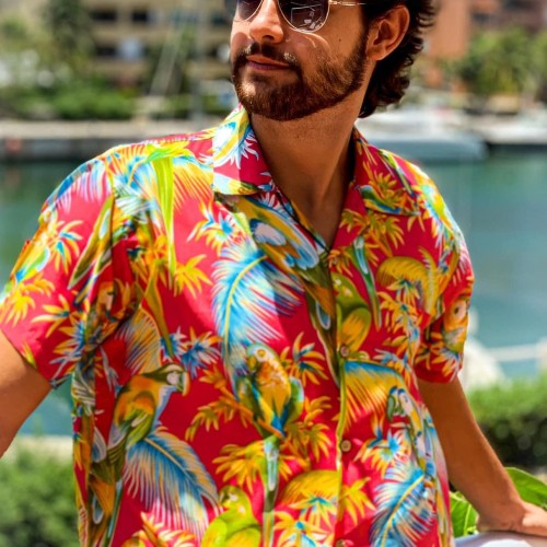 Jose Enrique D.
