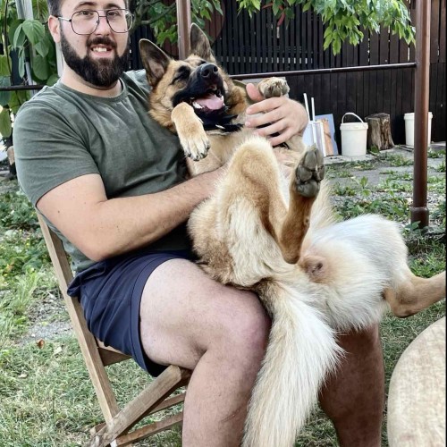 Jan P. profile photo