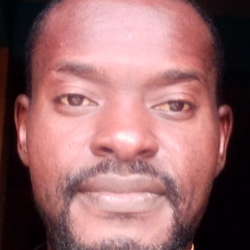 Mike  O. profile photo