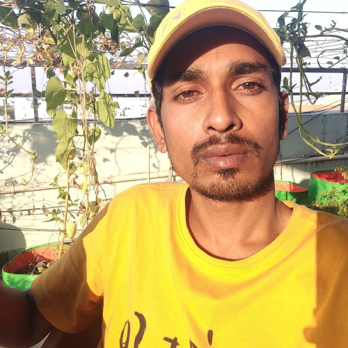 Rajesh  P.