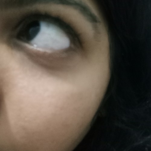 Neha F.