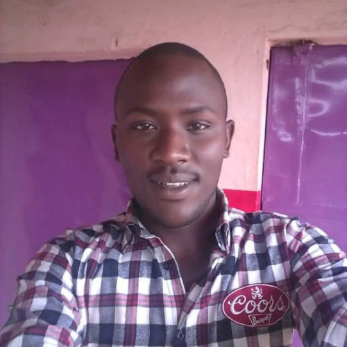Daniel  M. profile photo