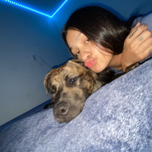 Amaya R.