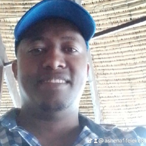ASHENAFI F.