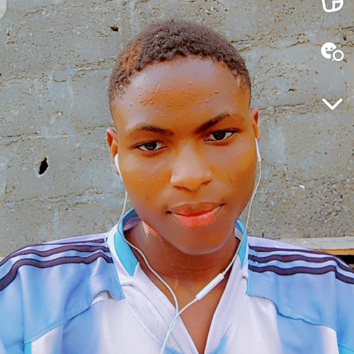 Malik  S.