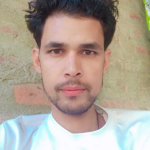 Tarique A. profile photo