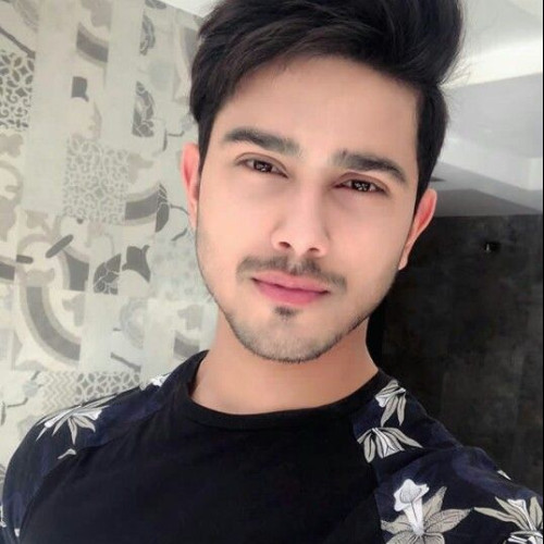 Ansh K. profile photo