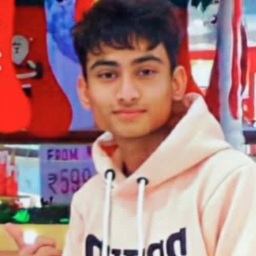 Kartik N.