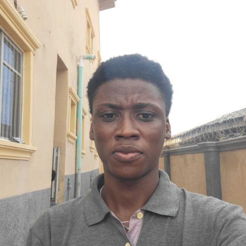 bolaji F. profile photo