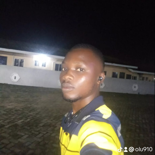 Olugbode a. profile photo