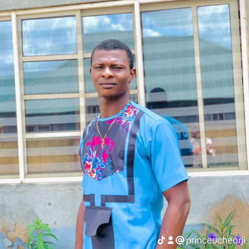 Uchechukwu P. profile photo