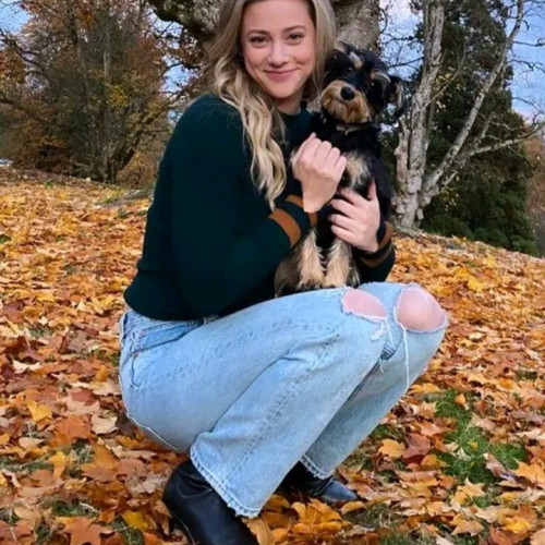 Angelina W. profile photo