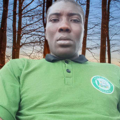 OYEWOLE O. profile photo