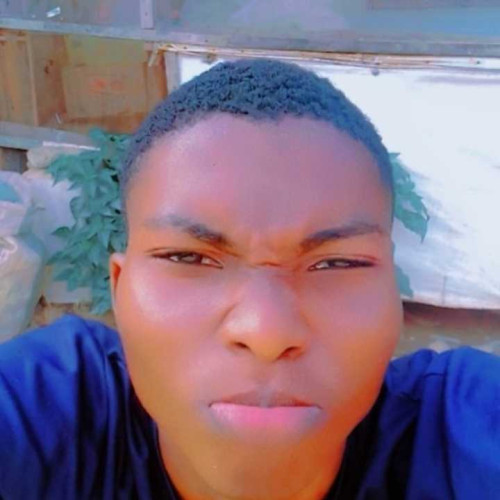 Anifowoshe D. profile photo