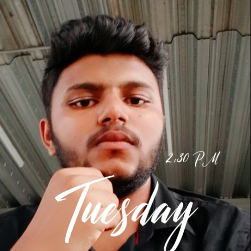 Ayush D. profile photo