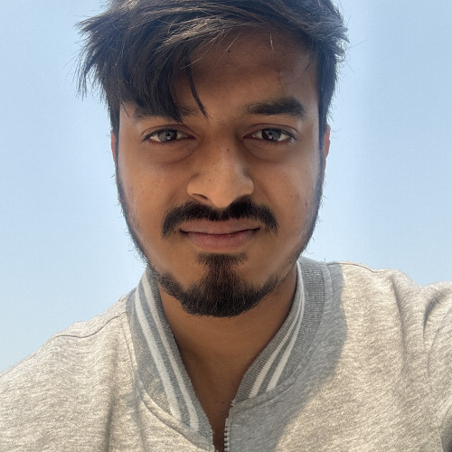 Ayush K. profile photo