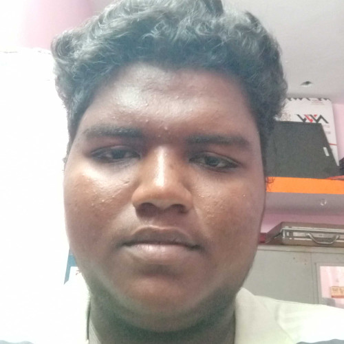 songa D. profile photo