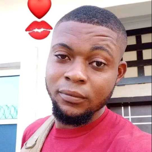 warmwhisper N. profile photo