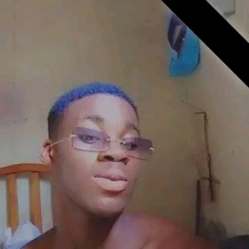 David I. profile photo