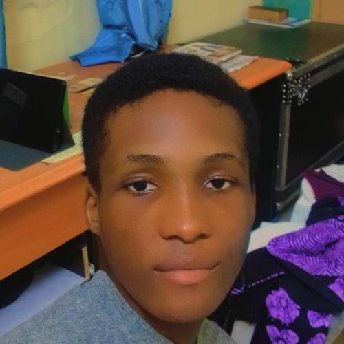 Chukwukelu  T. profile photo