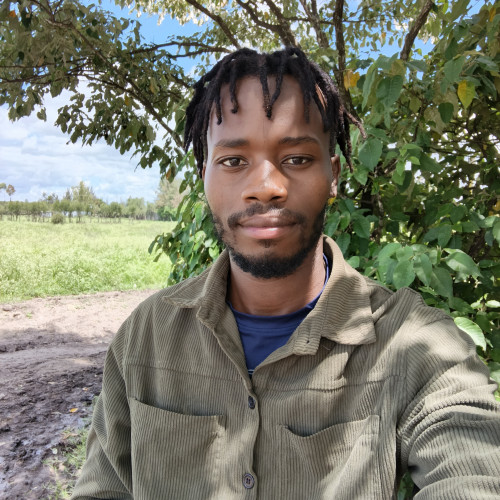 Kelvin K. profile photo