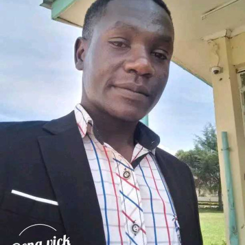 Victor n. profile photo