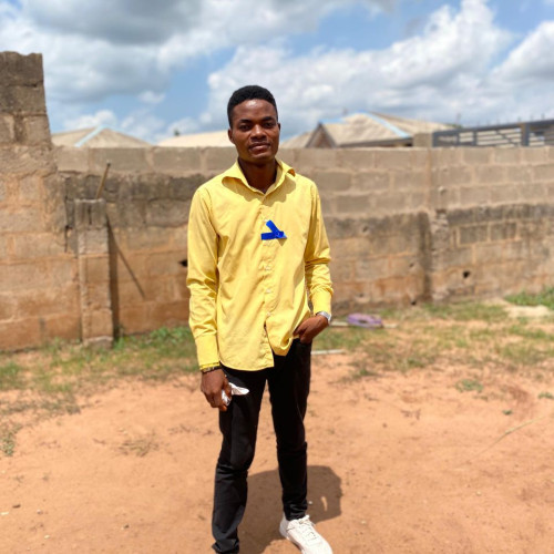 Olayemi  J. profile photo