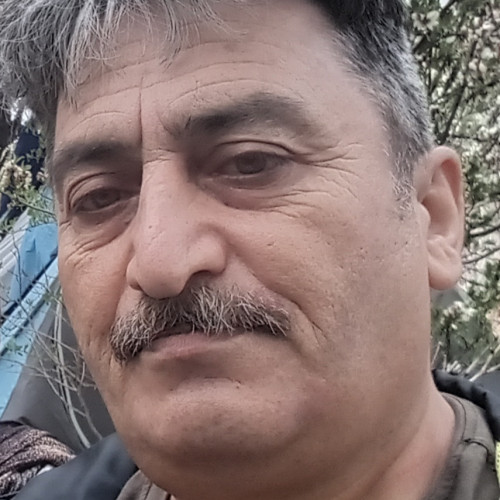 Davood M.