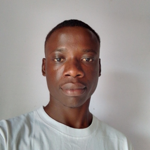 Wisdom  T. profile photo