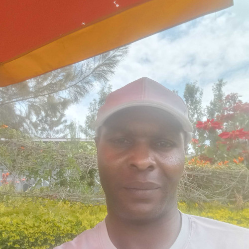 david o. profile photo