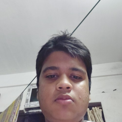 Ankit D.
