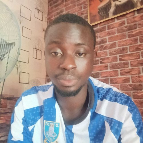 chisom u. profile photo