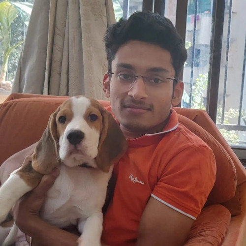 prashant s. profile photo