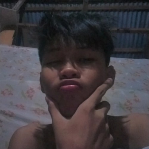 Rexrobmherck  D. profile photo