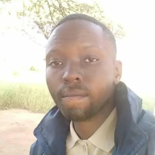 Tapiwa L. profile photo
