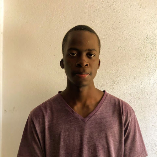 Harry  P. profile photo