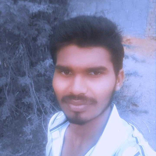 raju k. profile photo