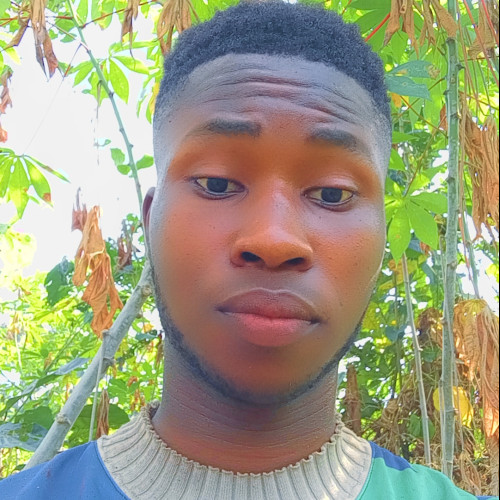 Kingsley G. profile photo