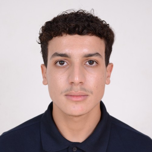 Taoufik A.
