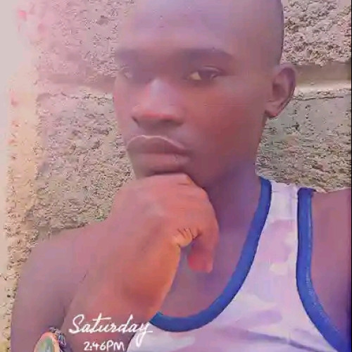 Felix O. profile photo